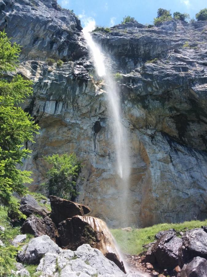 Residenz Theresa Soll Bagian luar foto