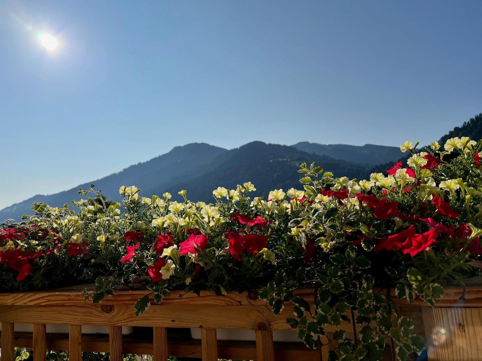 Residenz Theresa Soll Bagian luar foto