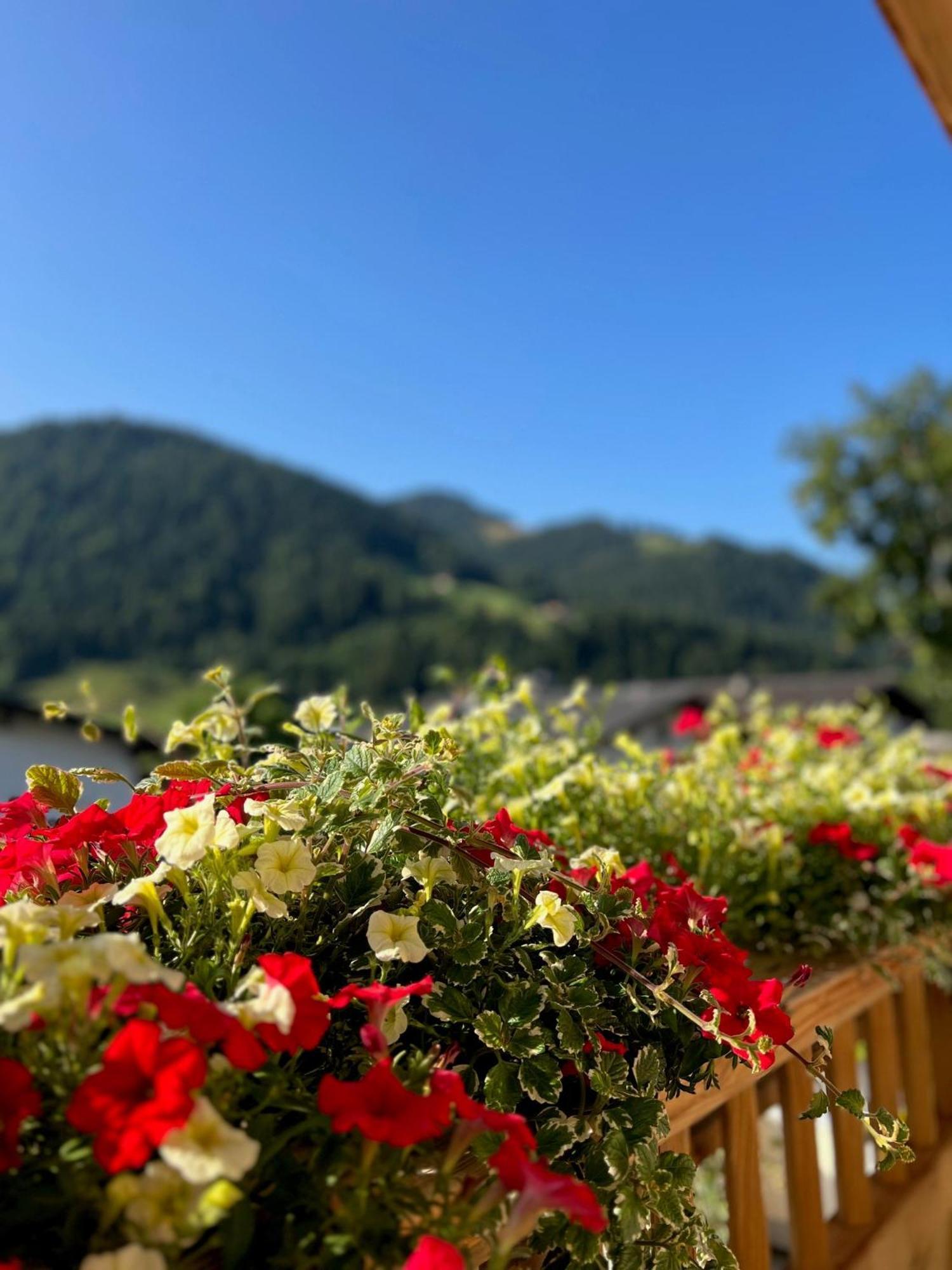 Residenz Theresa Soll Bagian luar foto