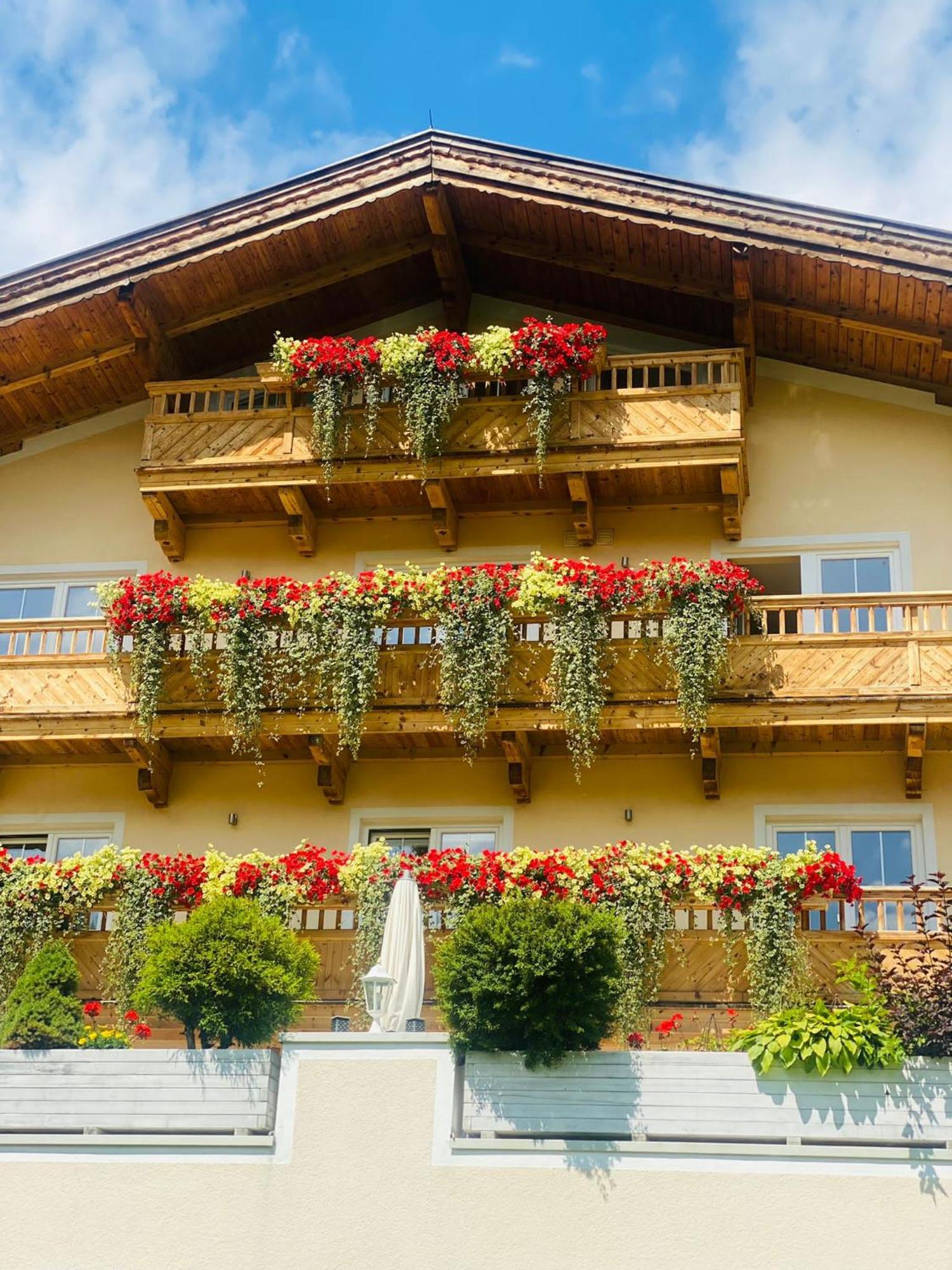 Residenz Theresa Soll Bagian luar foto